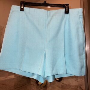 Ann Taylor Aqua  Blue Women's Shorts Size 12 NWT